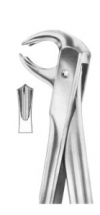  Fig. 73 lower molars 